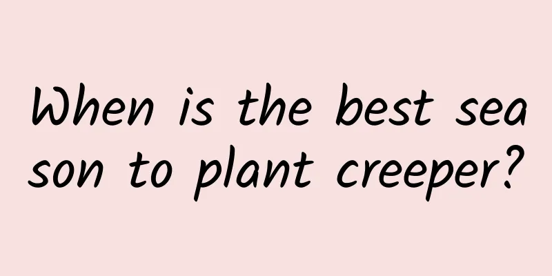 When is the best season to plant creeper?