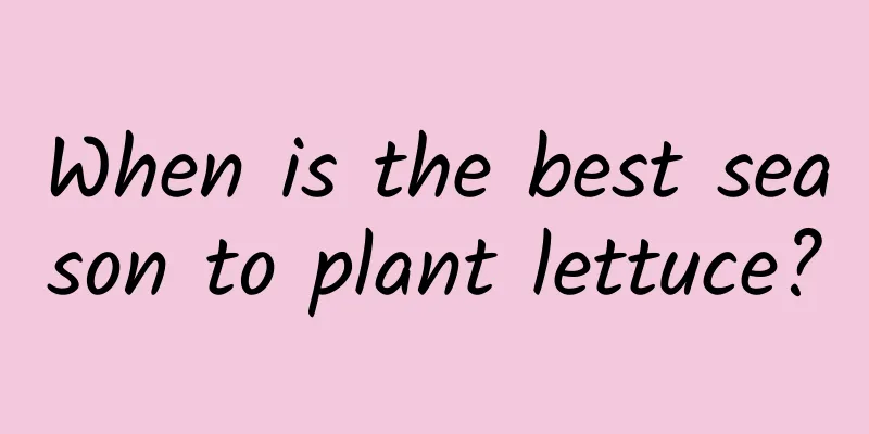 When is the best season to plant lettuce?