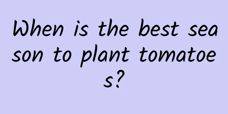 When is the best season to plant tomatoes?