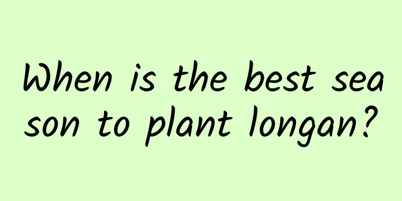 When is the best season to plant longan?