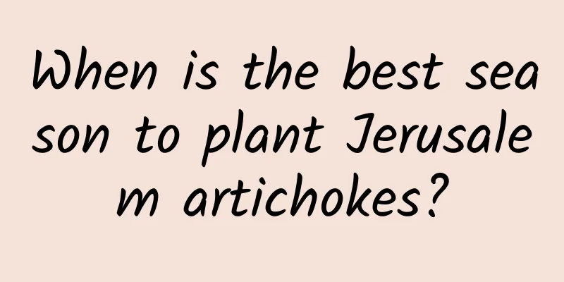 When is the best season to plant Jerusalem artichokes?