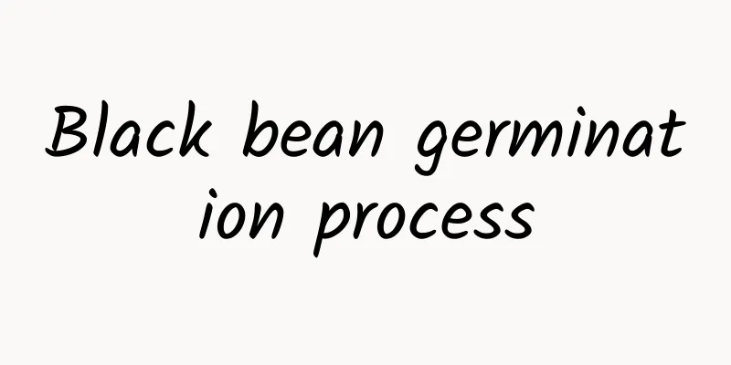 Black bean germination process
