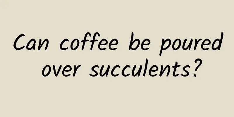 Can coffee be poured over succulents?