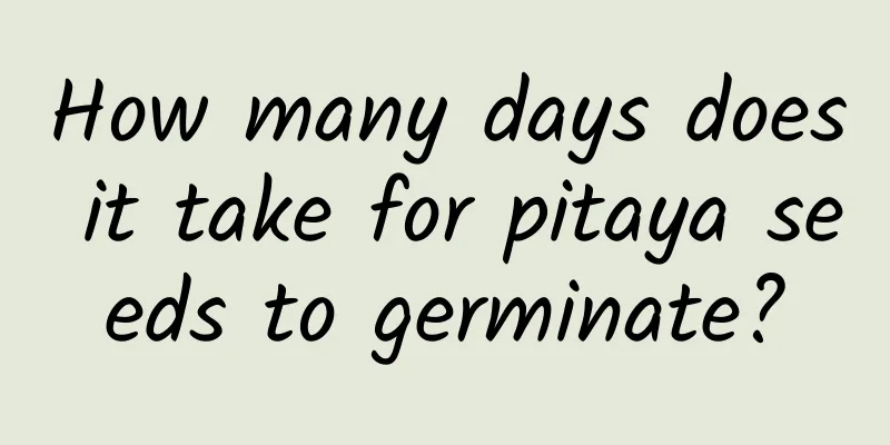 How many days does it take for pitaya seeds to germinate?