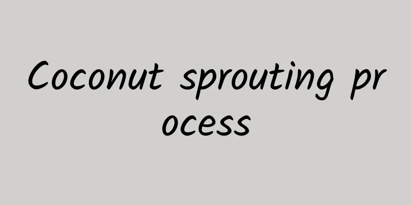 Coconut sprouting process