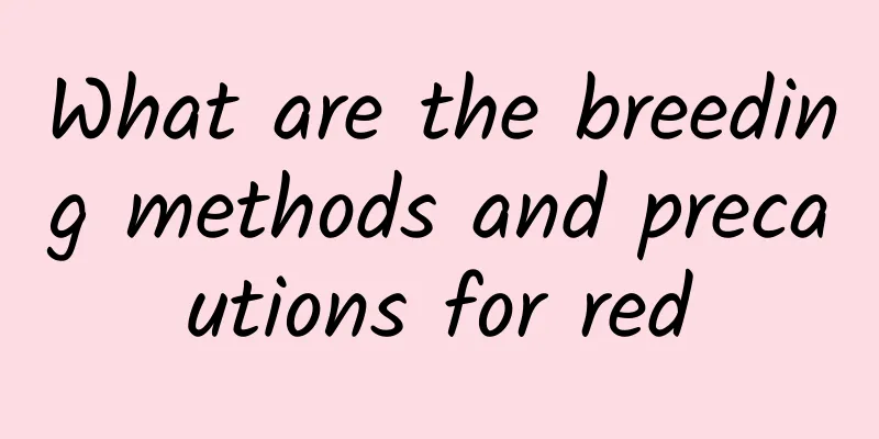 What are the breeding methods and precautions for red