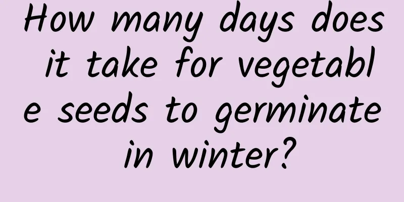 How many days does it take for vegetable seeds to germinate in winter?