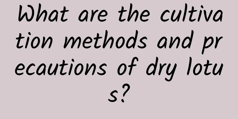 What are the cultivation methods and precautions of dry lotus?
