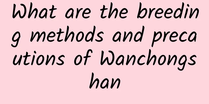 What are the breeding methods and precautions of Wanchongshan