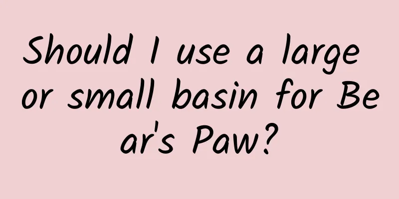 Should I use a large or small basin for Bear's Paw?