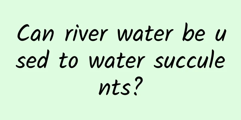 Can river water be used to water succulents?