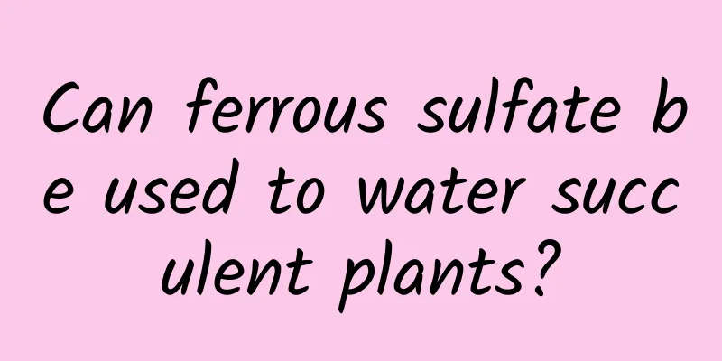 Can ferrous sulfate be used to water succulent plants?