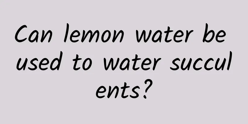 Can lemon water be used to water succulents?