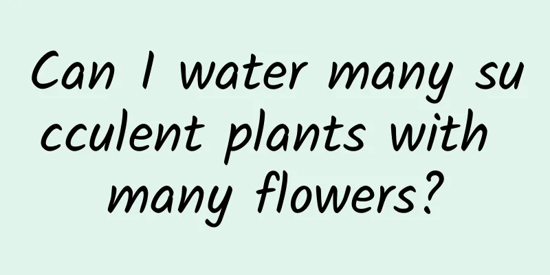 Can I water many succulent plants with many flowers?