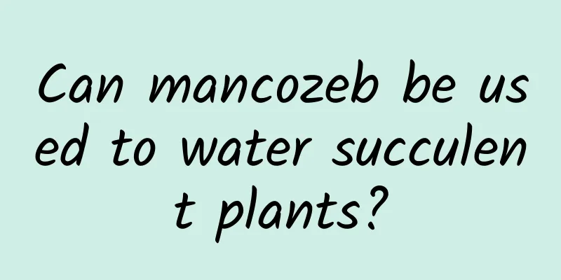 Can mancozeb be used to water succulent plants?