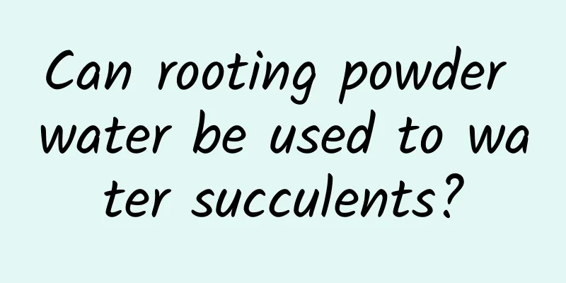 Can rooting powder water be used to water succulents?