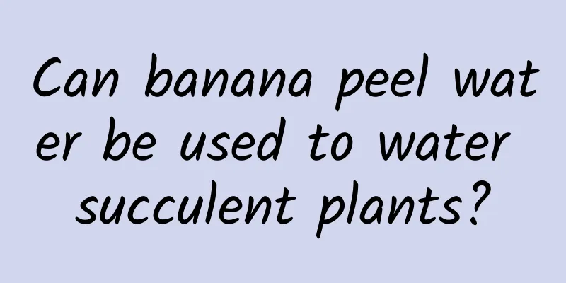 Can banana peel water be used to water succulent plants?
