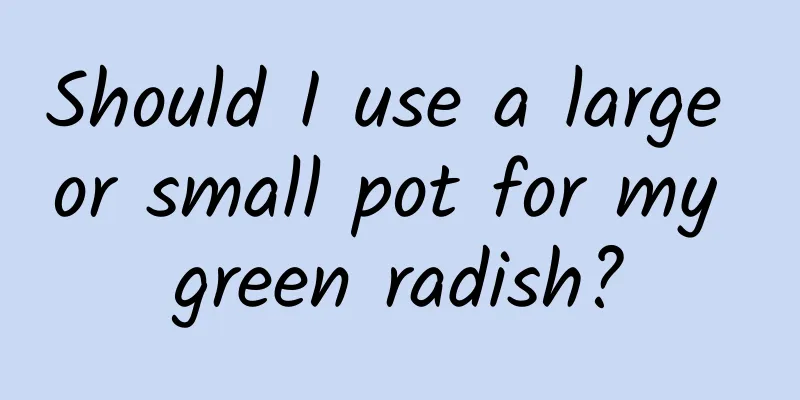 Should I use a large or small pot for my green radish?