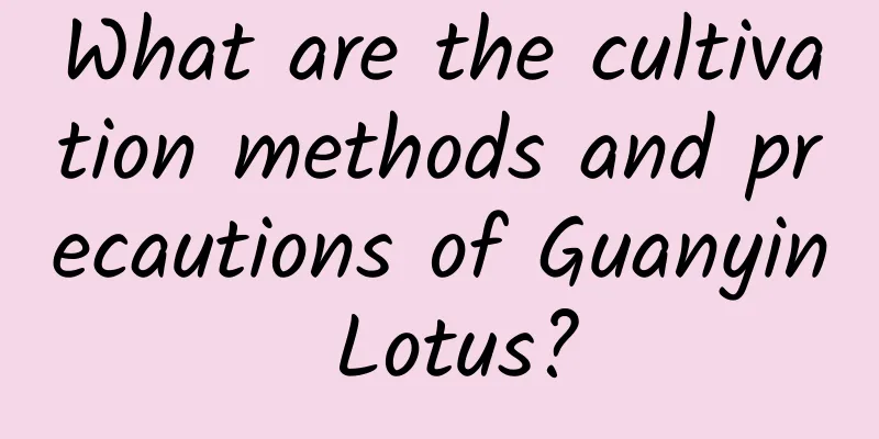 What are the cultivation methods and precautions of Guanyin Lotus?