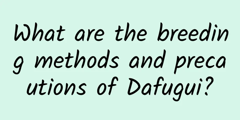 What are the breeding methods and precautions of Dafugui?