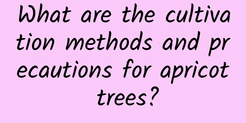 What are the cultivation methods and precautions for apricot trees?