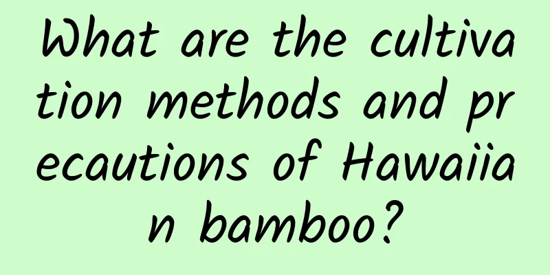 What are the cultivation methods and precautions of Hawaiian bamboo?