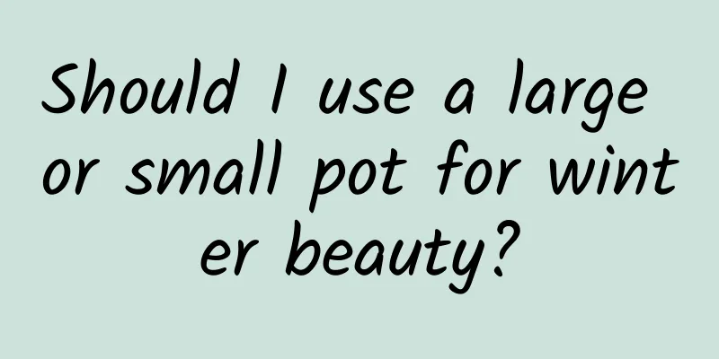 Should I use a large or small pot for winter beauty?
