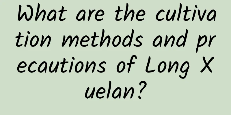 What are the cultivation methods and precautions of Long Xuelan?