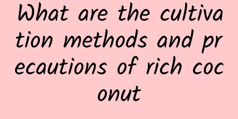 What are the cultivation methods and precautions of rich coconut