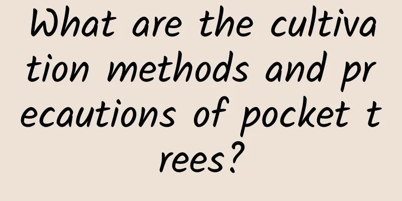 What are the cultivation methods and precautions of pocket trees?