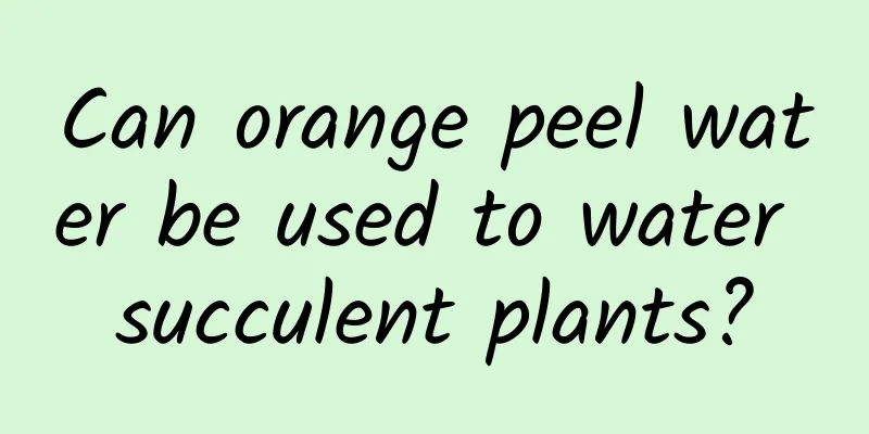 Can orange peel water be used to water succulent plants?