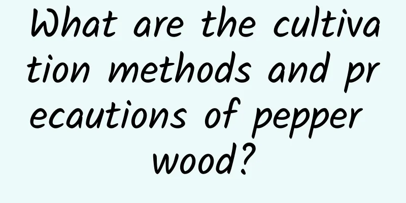 What are the cultivation methods and precautions of pepper wood?