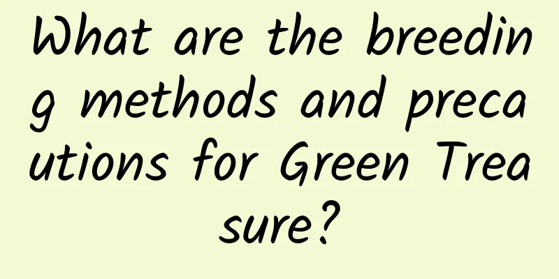 What are the breeding methods and precautions for Green Treasure?