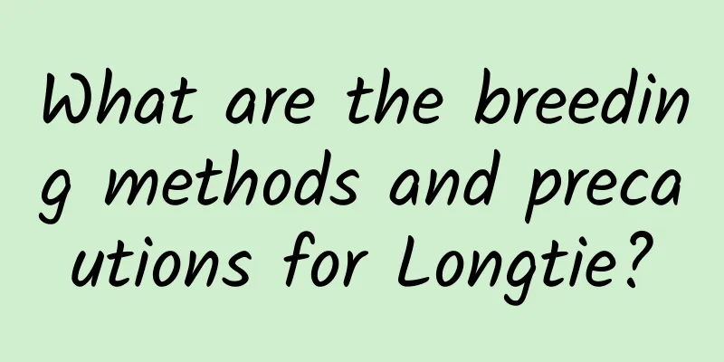 What are the breeding methods and precautions for Longtie?