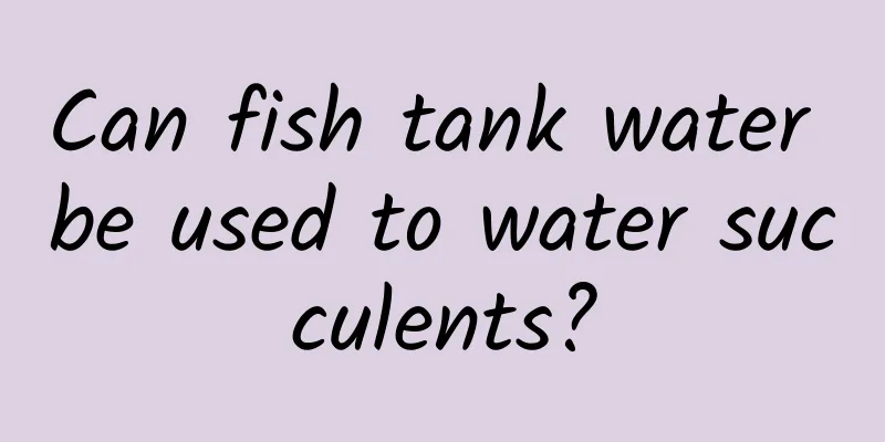 Can fish tank water be used to water succulents?