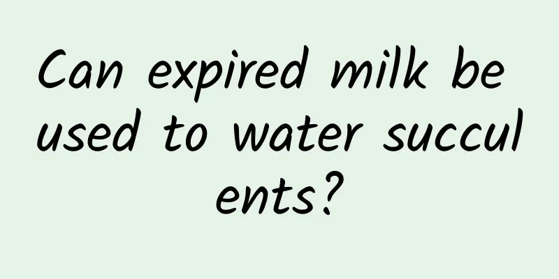 Can expired milk be used to water succulents?