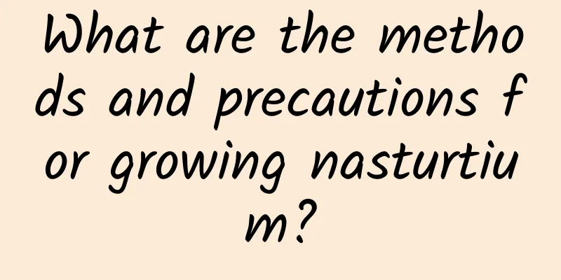 What are the methods and precautions for growing nasturtium?