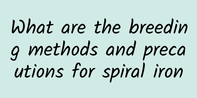 What are the breeding methods and precautions for spiral iron