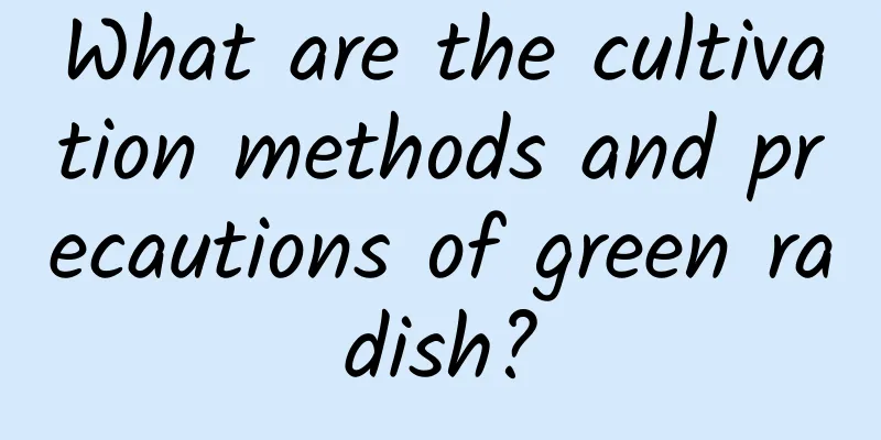 What are the cultivation methods and precautions of green radish?