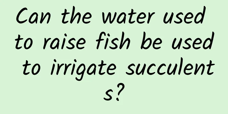 Can the water used to raise fish be used to irrigate succulents?