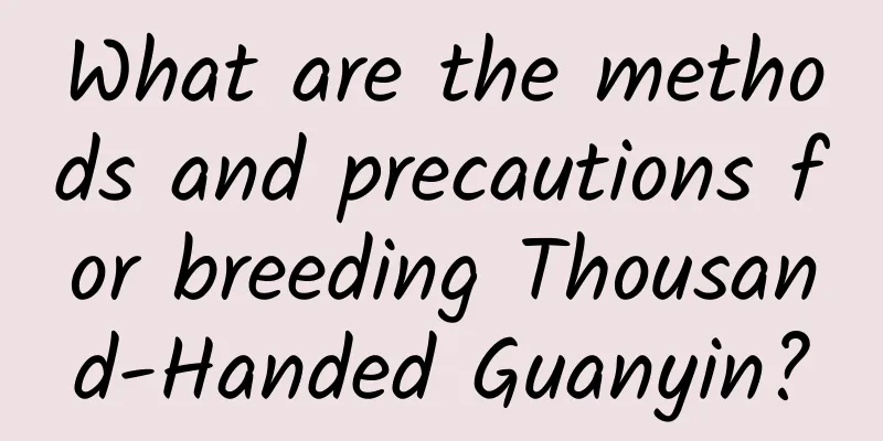 What are the methods and precautions for breeding Thousand-Handed Guanyin?