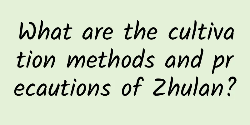 What are the cultivation methods and precautions of Zhulan?