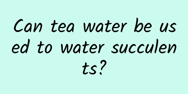 Can tea water be used to water succulents?