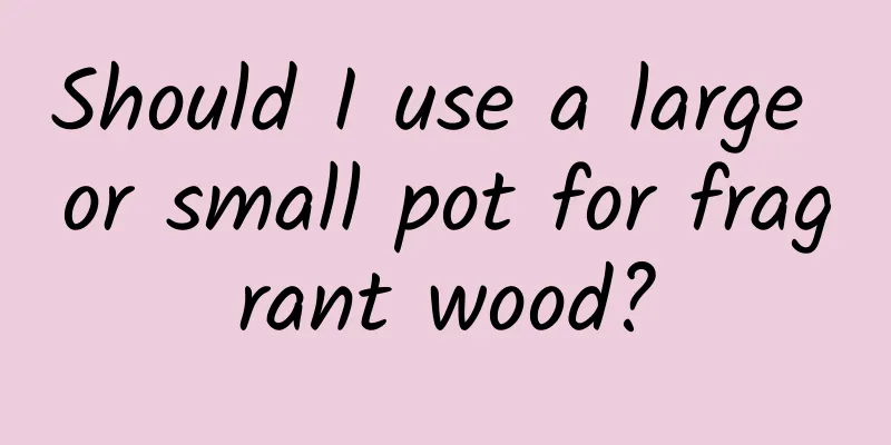 Should I use a large or small pot for fragrant wood?