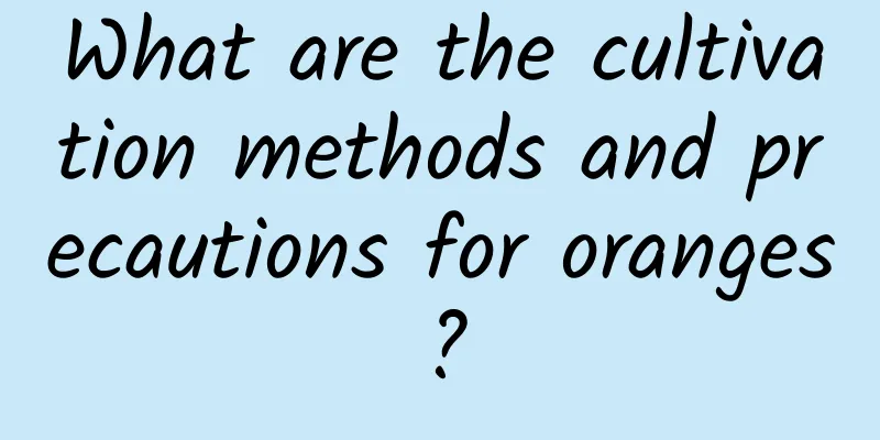 What are the cultivation methods and precautions for oranges?