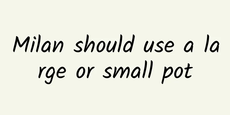 Milan should use a large or small pot