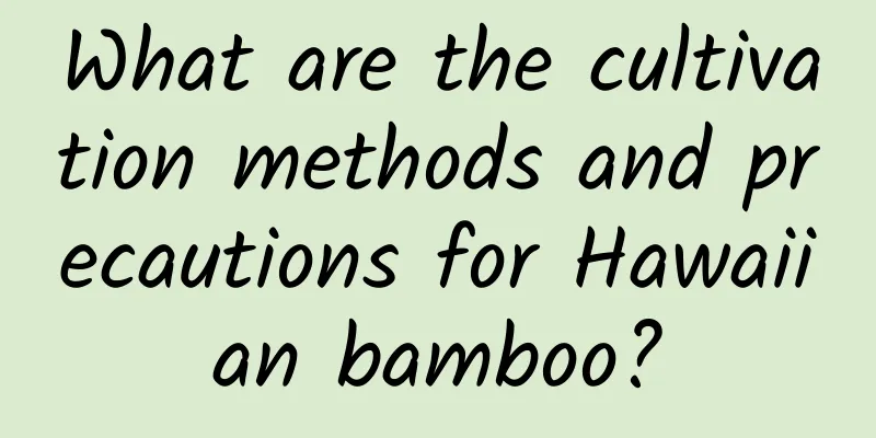 What are the cultivation methods and precautions for Hawaiian bamboo?
