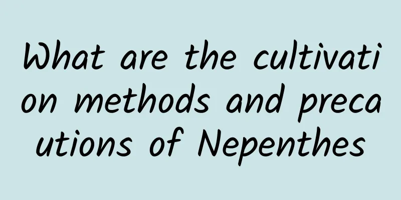 What are the cultivation methods and precautions of Nepenthes