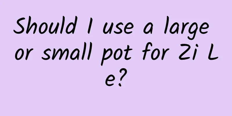 Should I use a large or small pot for Zi Le?