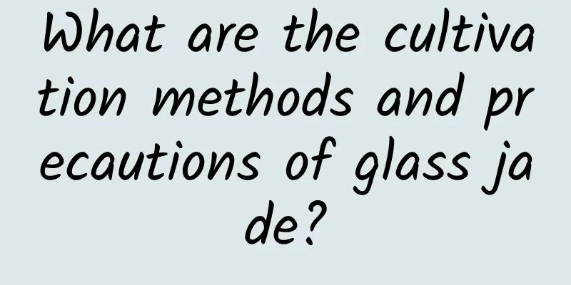 What are the cultivation methods and precautions of glass jade?